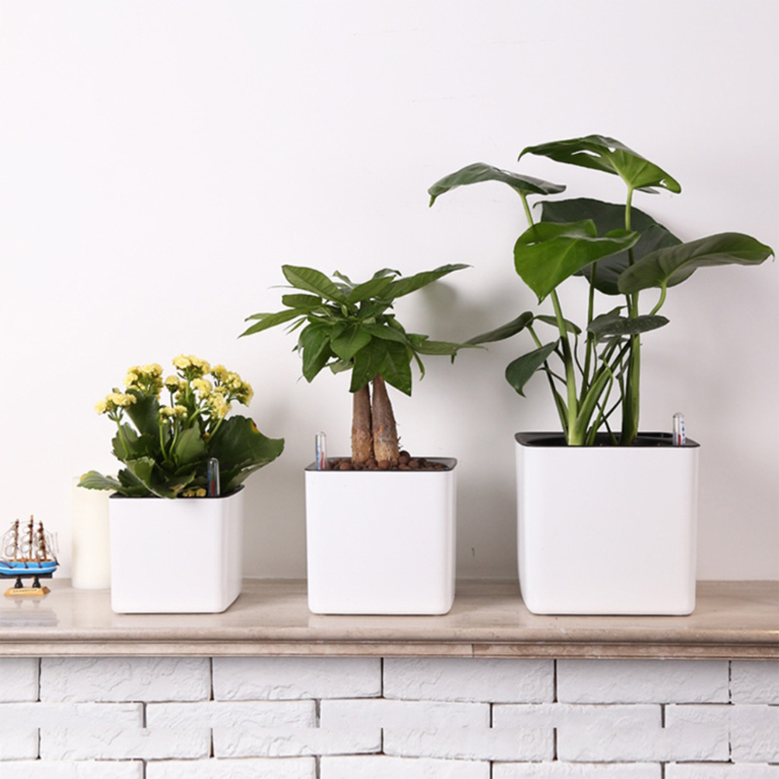 Automatic Plant Waterer - 3 size Lazy flowerpot Green Plant