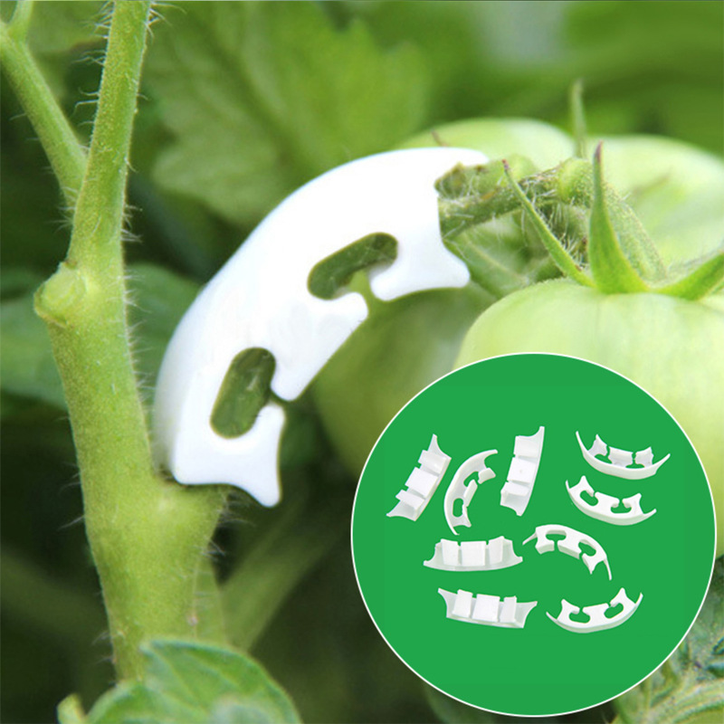 Gardening Tools For Vines - 50/100pcs Botany-stem Vine Strapping Clips Garden