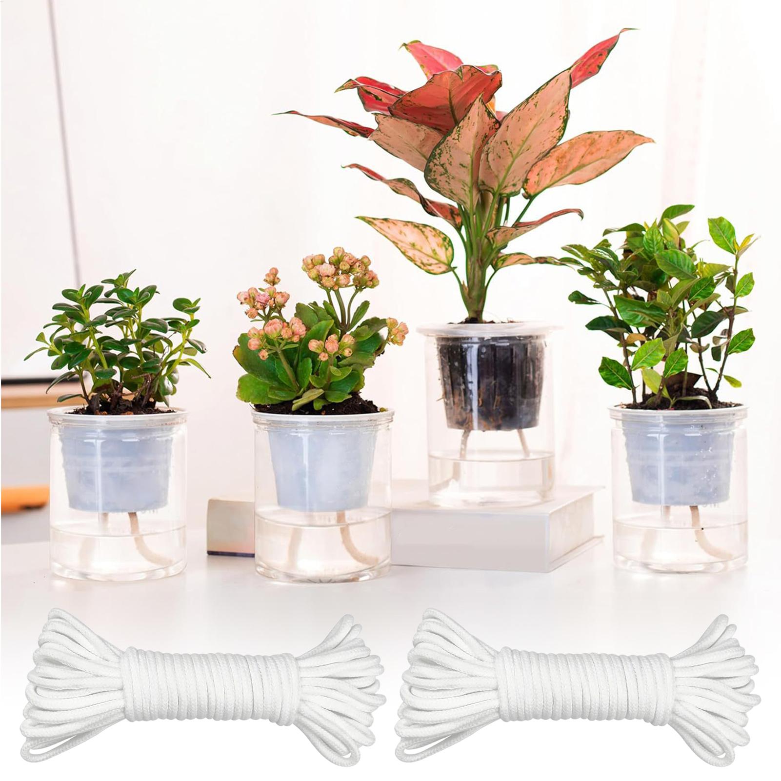 Plant Wicks For Self Watering  - огляд і ціна Automatic Plant Waterer