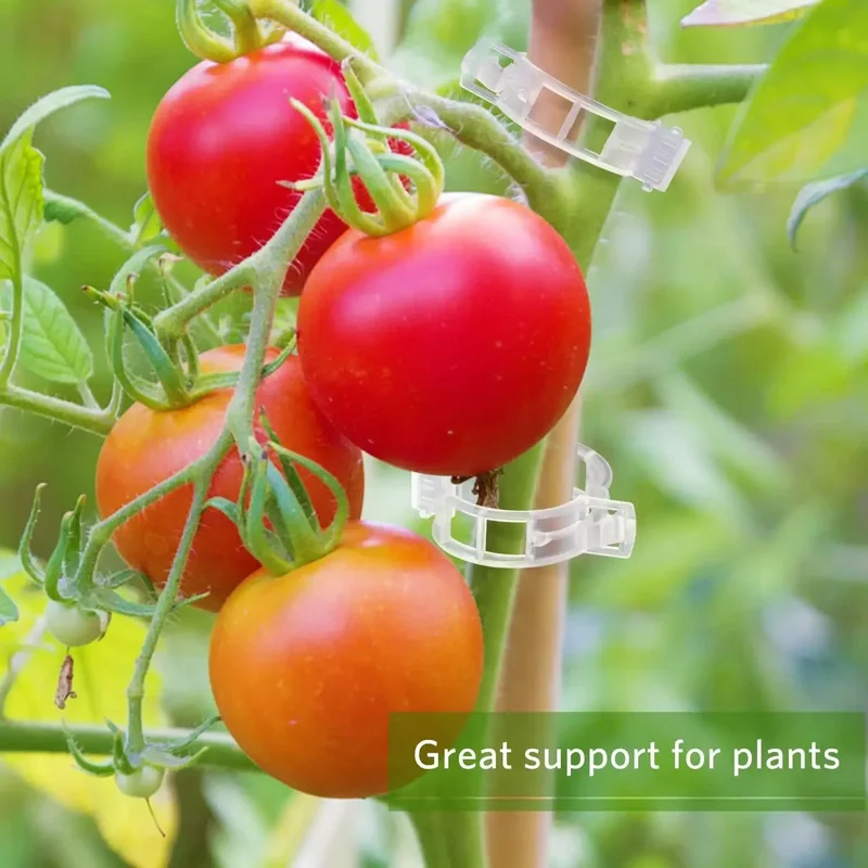 50-300PCS Plant Support Clips  - огляд і ціна Gardening Tools For Vines