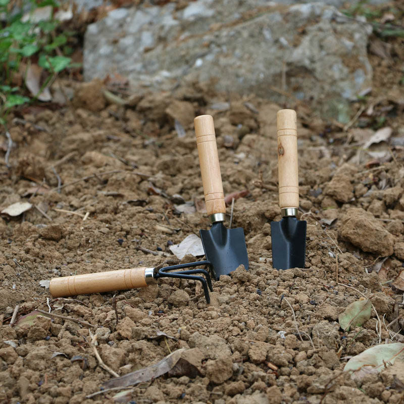 3Pcs/Set Mini Garden Tool Set  - огляд і ціна Gardening Tools For Digging