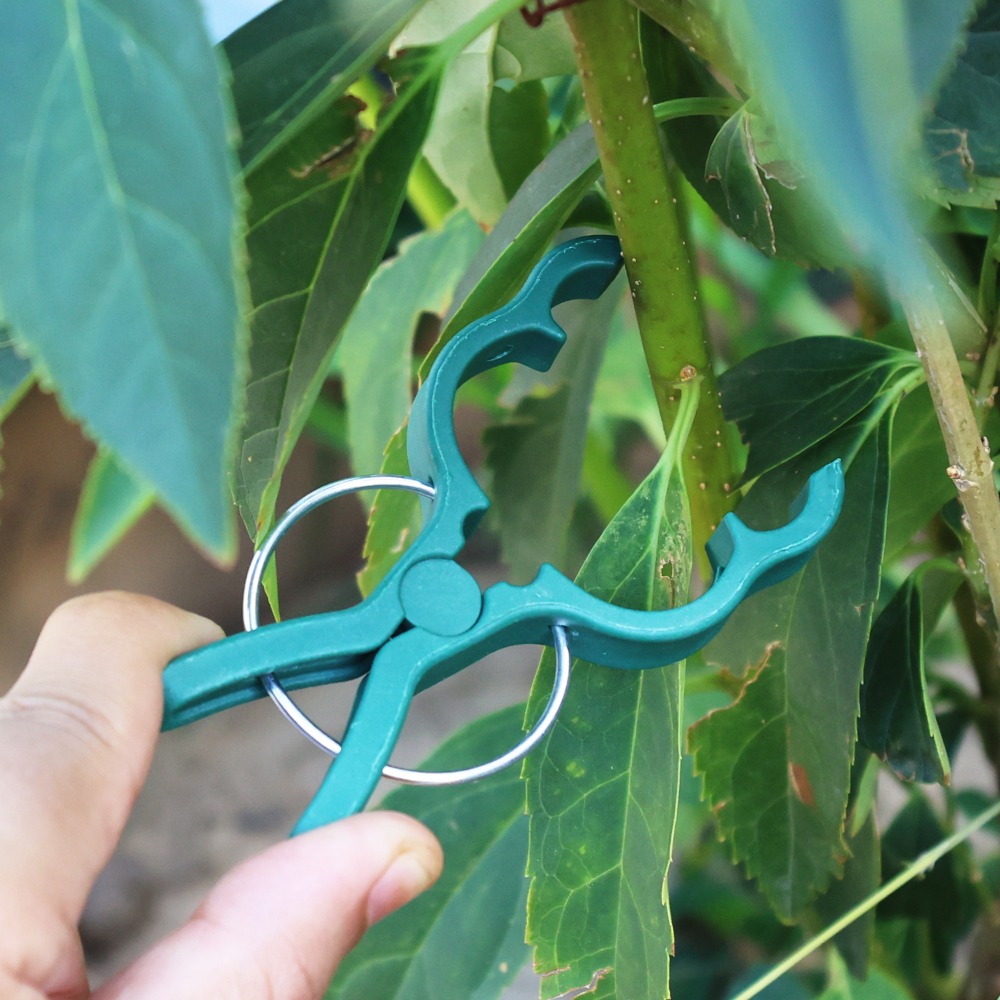 50/10PCS Plant Vegetable Suppo - огляд і ціна Gardening Tools For Vines