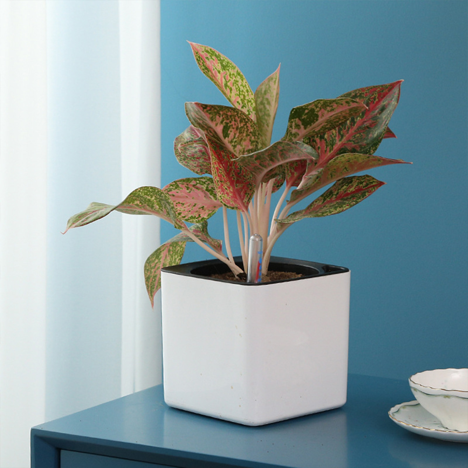3 size Lazy flowerpot Green Pl - огляд і ціна Automatic Plant Waterer