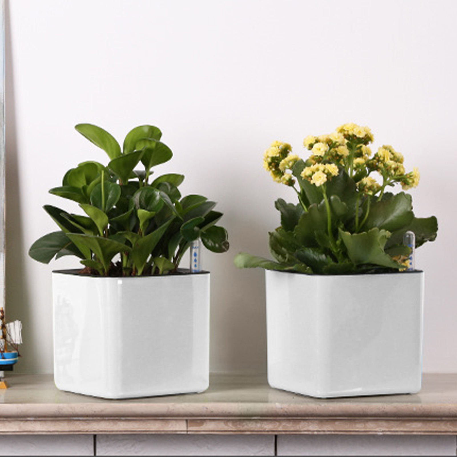 3 size Lazy flowerpot Green Pl - огляд і ціна Automatic Plant Waterer