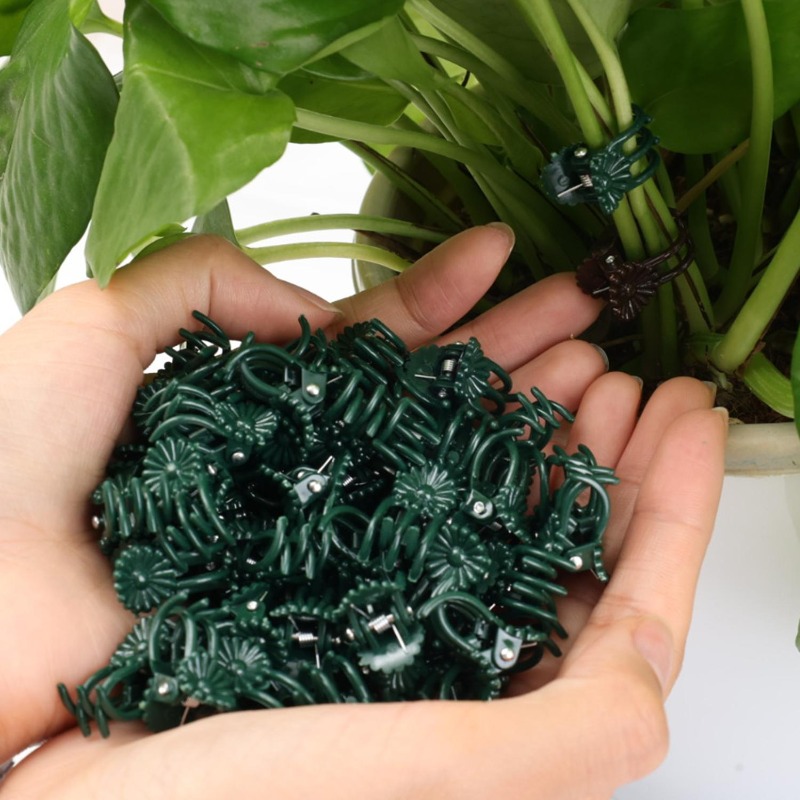 Wholesale Mini Plant Support C - огляд і ціна Gardening Tools For Vines