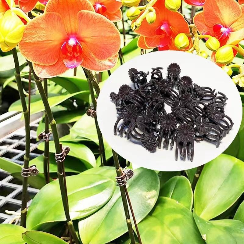 Wholesale Mini Plant Support C - огляд і ціна Gardening Tools For Vines