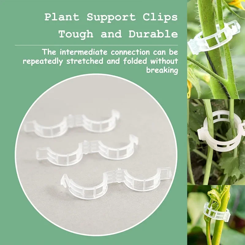 100PCS Plant Fixing Clips Reus - огляд і ціна Gardening Tools For Vines