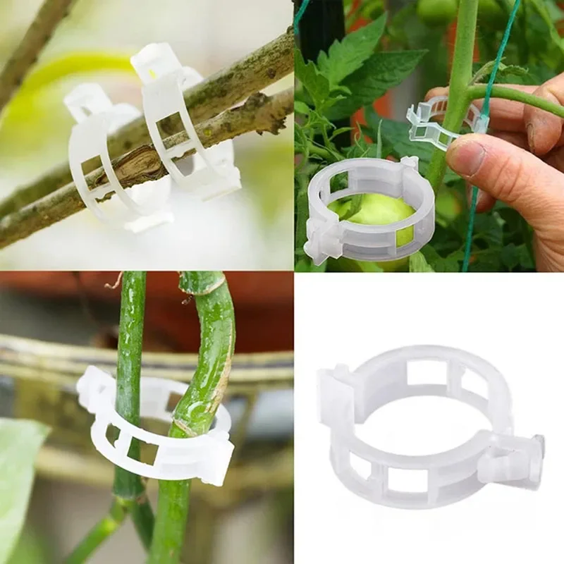 100PCS Plant Fixing Clips Reus - огляд і ціна Gardening Tools For Vines