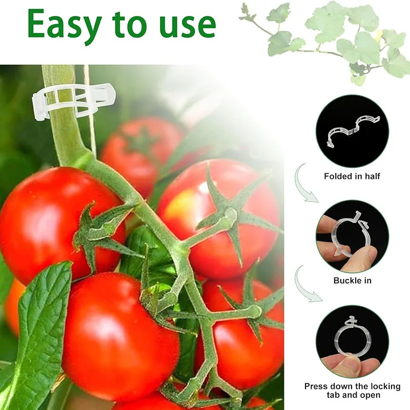 100PCS Plant Fixing Clips Reus - огляд і ціна Gardening Tools For Vines