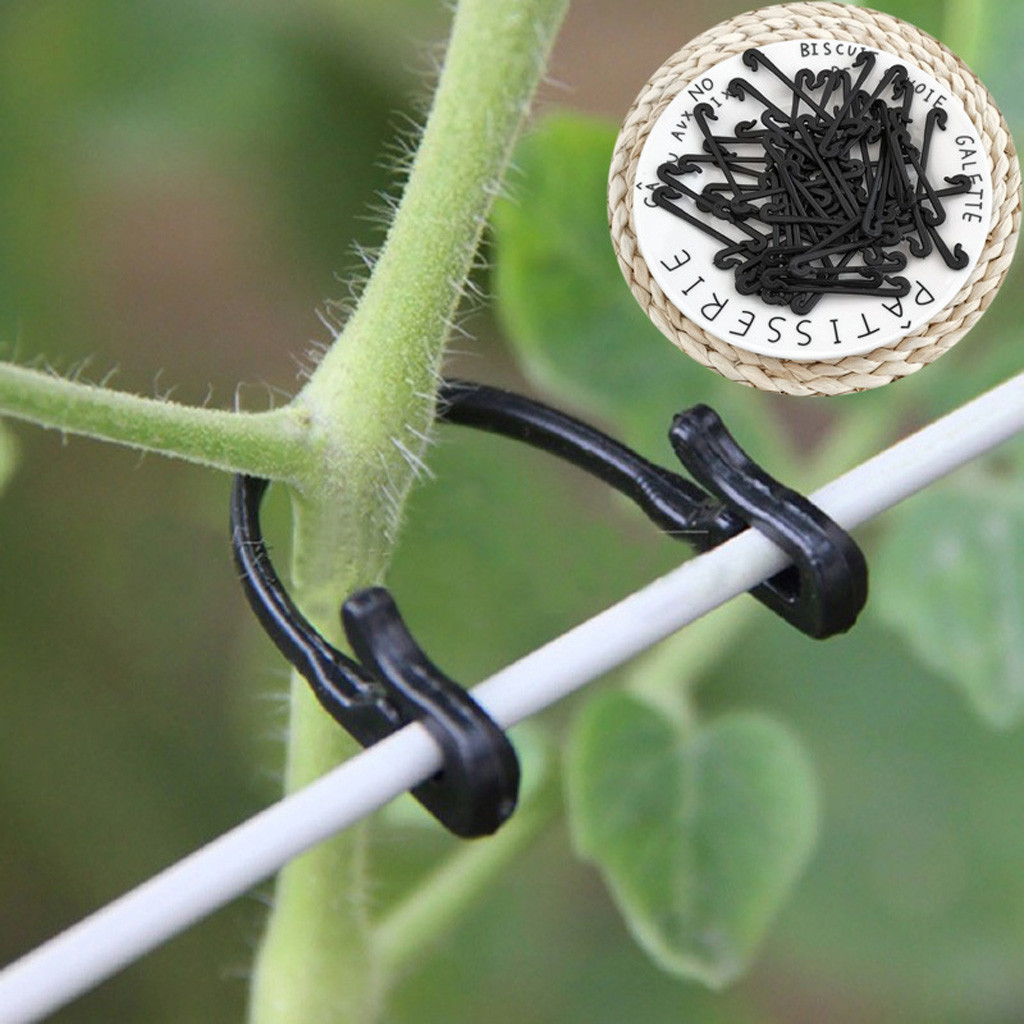 50-500PCS Vines Fastener Tied  - огляд і ціна Gardening Tools For Vines