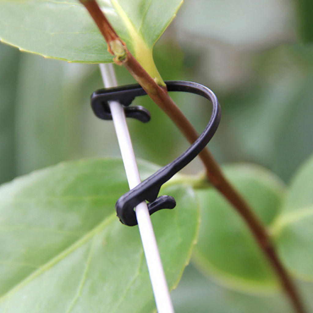 50-500PCS Vines Fastener Tied  - огляд і ціна Gardening Tools For Vines
