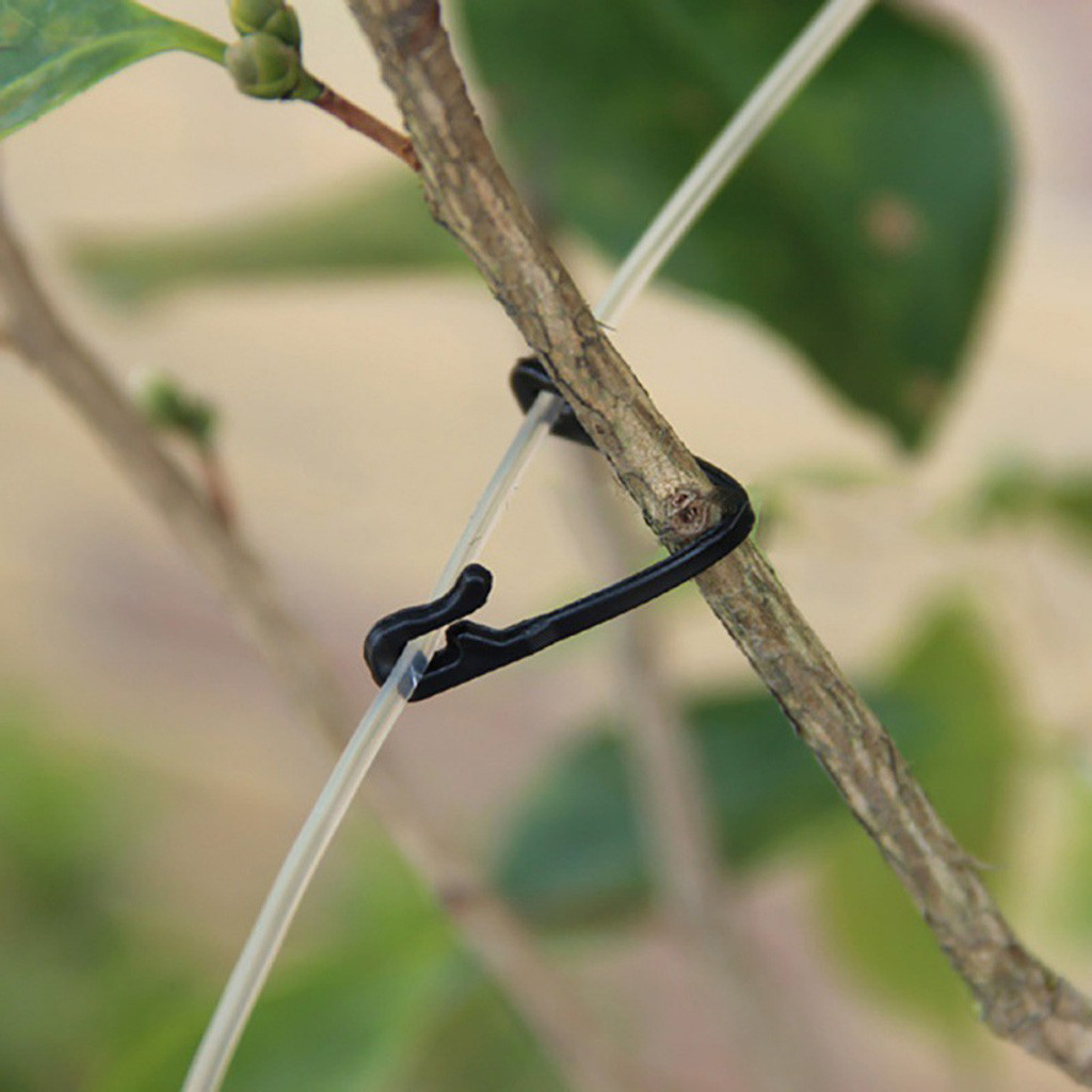 50-500PCS Vines Fastener Tied  - огляд і ціна Gardening Tools For Vines