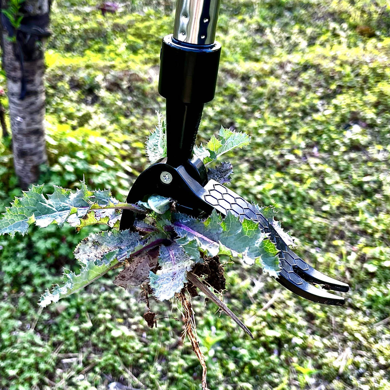 Save Labour Hand Metal Weed Ex - огляд і ціна Gardening Tools Needed