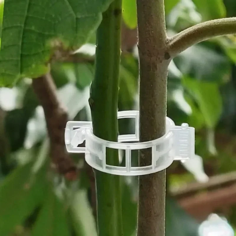 Plant Support Clips Reusable P - огляд і ціна Gardening Tools For Vines
