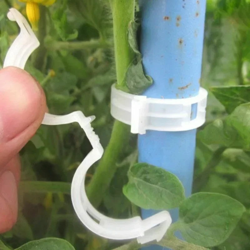 Plant Support Clips Reusable P - огляд і ціна Gardening Tools For Vines