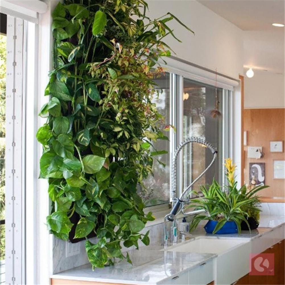 1Pcs Felt Wall Hanging Plant B - огляд і ціна Grow Bags