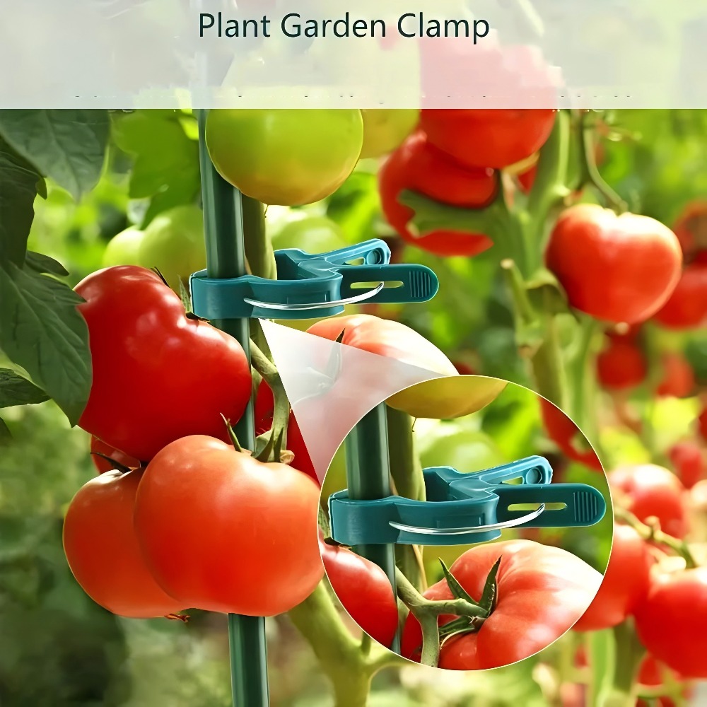 10/30/50pcs Adjustable Plant C - огляд і ціна Gardening Tools For Vines