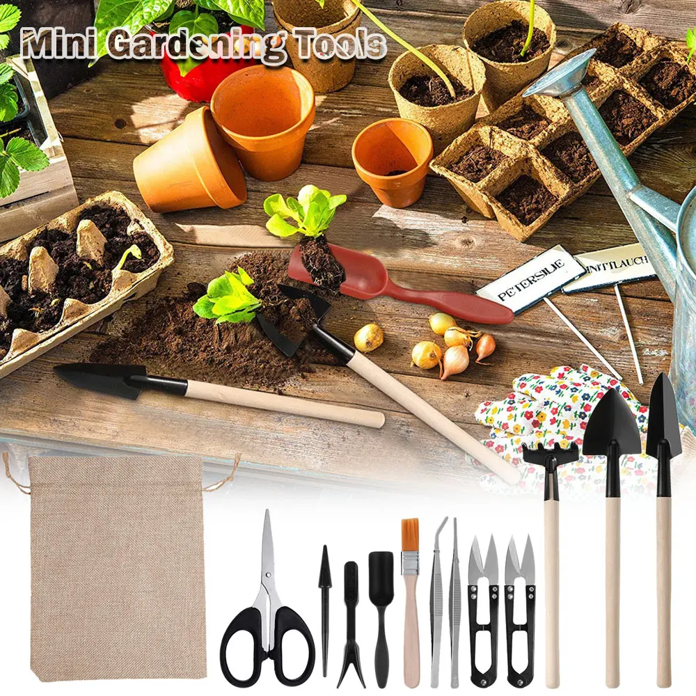 13PCS Succulent Plants Tool Se - огляд і ціна Gardening Tools Sale