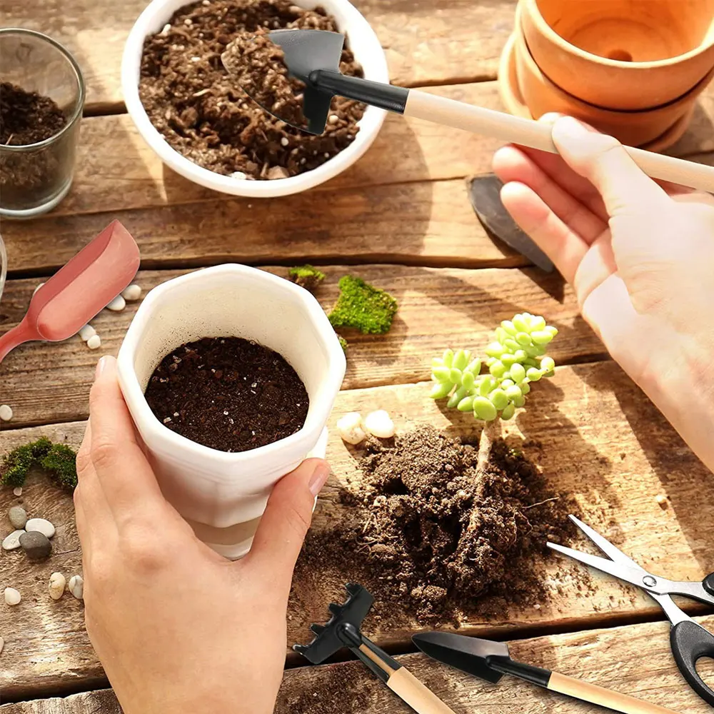 13PCS Succulent Plants Tool Se - огляд і ціна Gardening Tools Sale