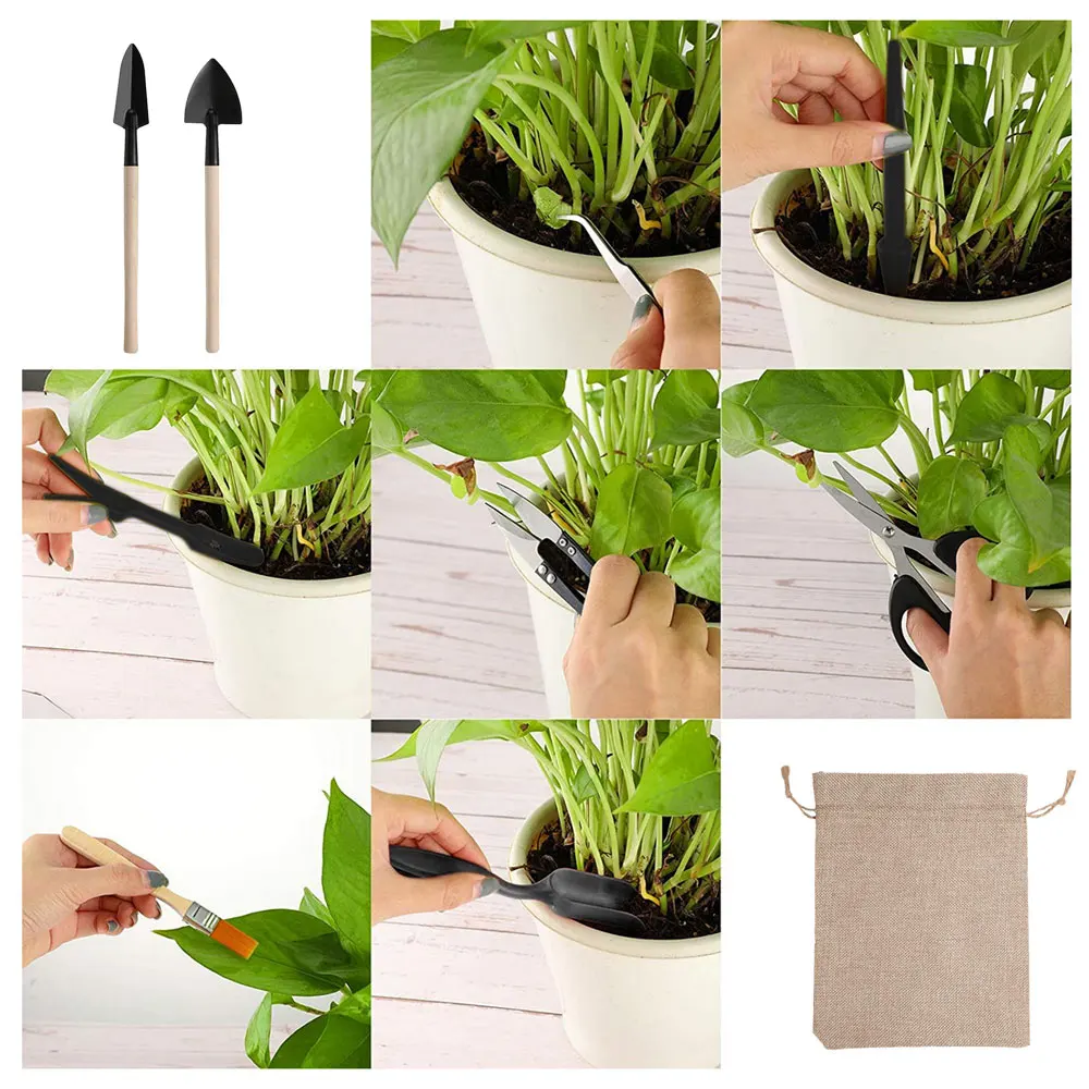 13PCS Succulent Plants Tool Se - огляд і ціна Gardening Tools Sale
