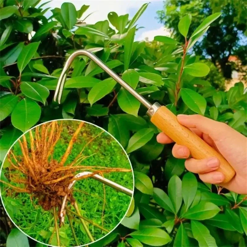 Stainless Steel Gardening Weed - огляд і ціна Grass Seed Spreader
