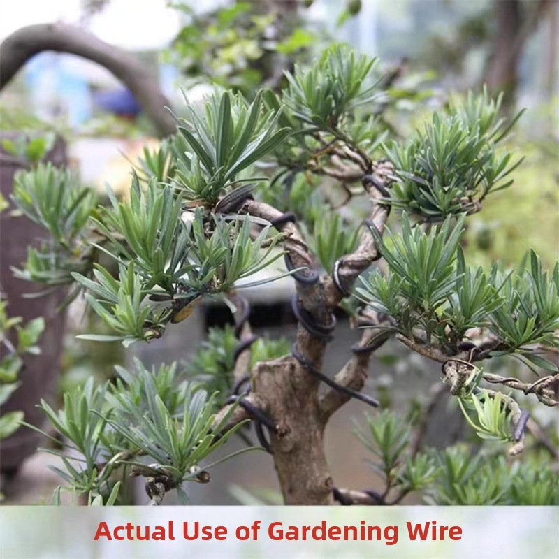 1.5MM Bonsai Wires Aluminum Bo - огляд і ціна Gardening Tools And Accessories