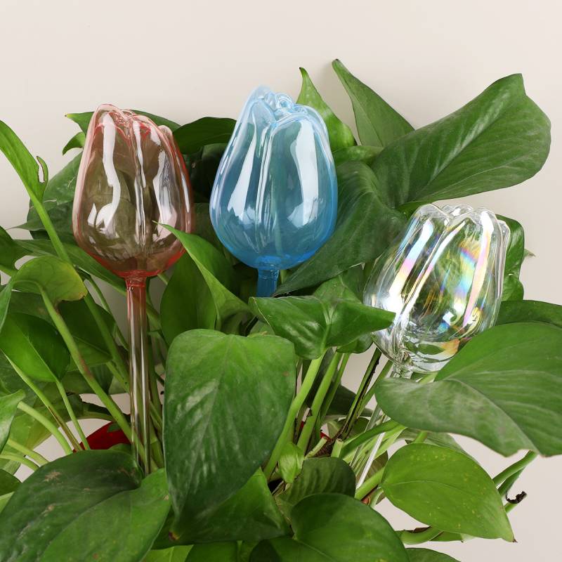 1 pc Glass Plant Waterer, Auto - огляд і ціна Automatic Plant Waterer