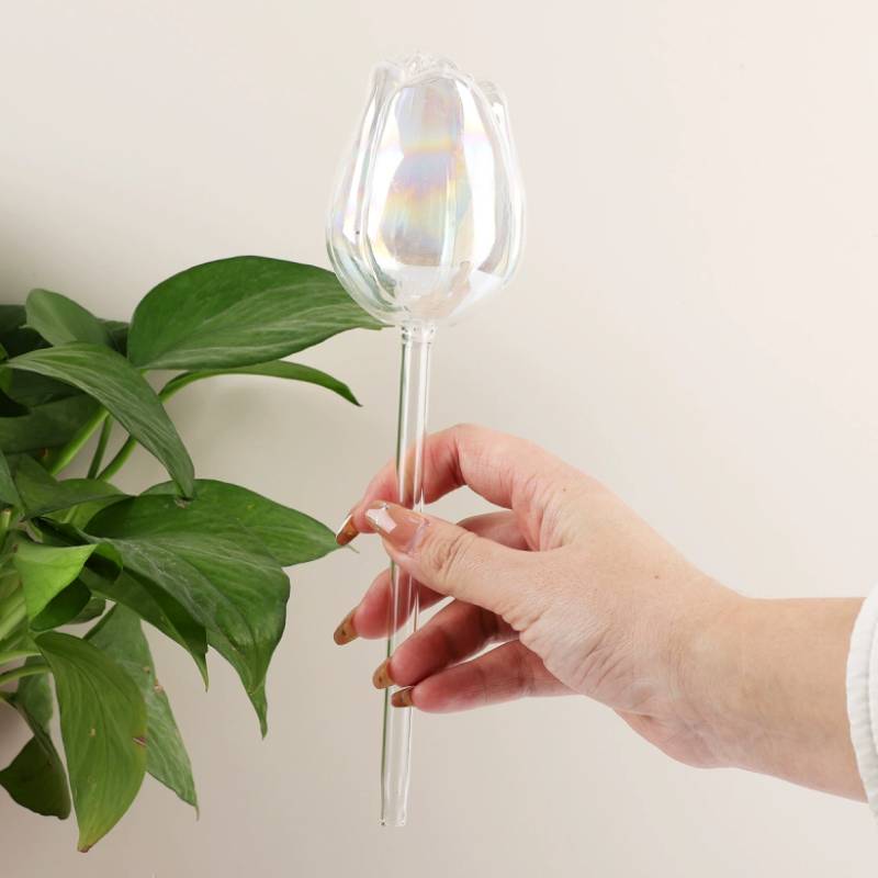 1 pc Glass Plant Waterer, Auto - огляд і ціна Automatic Plant Waterer