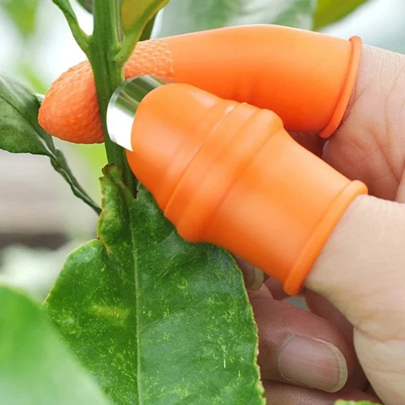Thumb Knife Vegetable Picking  - огляд і ціна Gardening Tools Knife