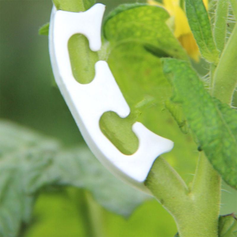50/100pcs Botany-stem Vine Str - огляд і ціна Gardening Tools For Vines