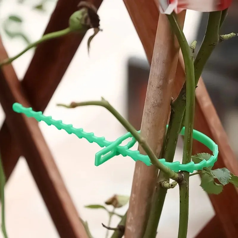 Reusable Garden Cable Ties Pla - огляд і ціна Gardening Tools For Vines