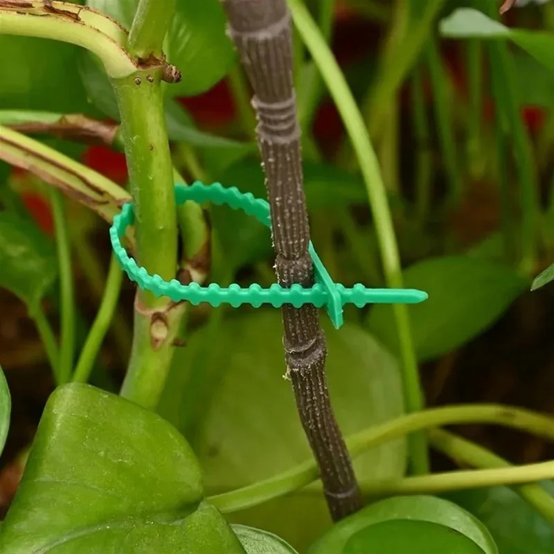 Reusable Garden Cable Ties Pla - огляд і ціна Gardening Tools For Vines
