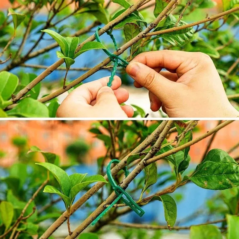 Reusable Garden Cable Ties Pla - огляд і ціна Gardening Tools For Vines