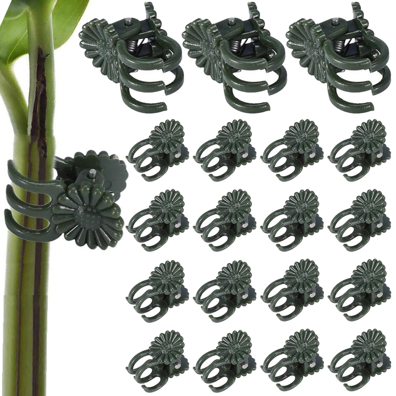 20/50/100PCS Plant Clips Vine  - огляд і ціна Gardening Tools For Vines