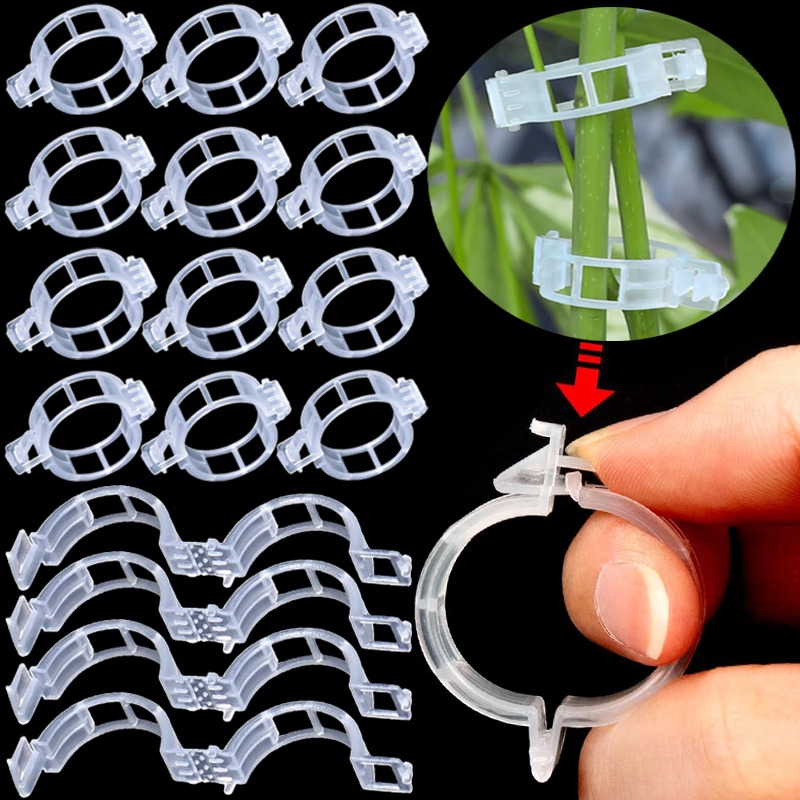 300/50PCS Plant Support Clips  - огляд і ціна Gardening Tools For Vines