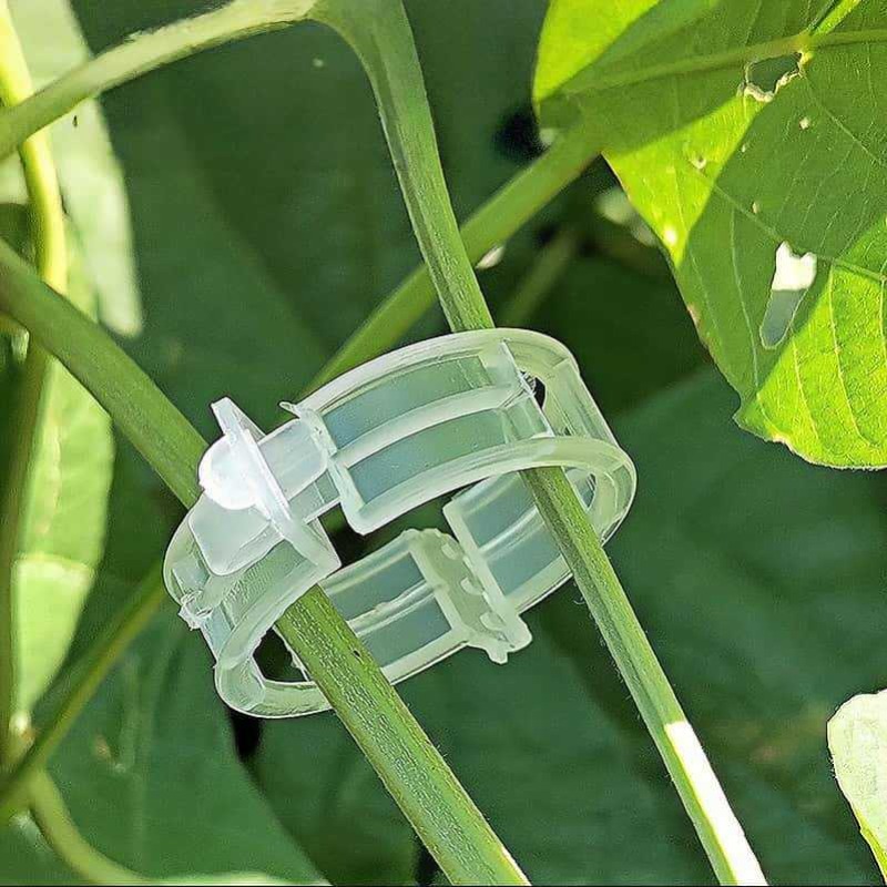 300/50PCS Plant Support Clips  - огляд і ціна Gardening Tools For Vines