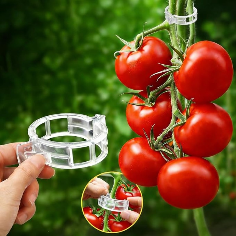 300/50PCS Plant Support Clips  - огляд і ціна Gardening Tools For Vines
